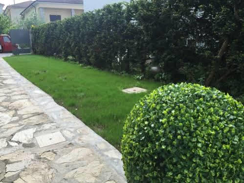 A Quattro Passi Dalle Mura Lucca Ngoại thất bức ảnh